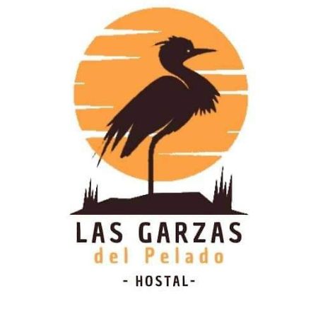 Hostal Las Garzas Del Pelado プラヤス エクステリア 写真