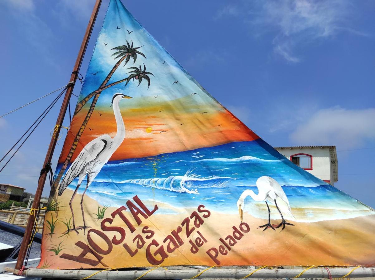 Hostal Las Garzas Del Pelado プラヤス エクステリア 写真