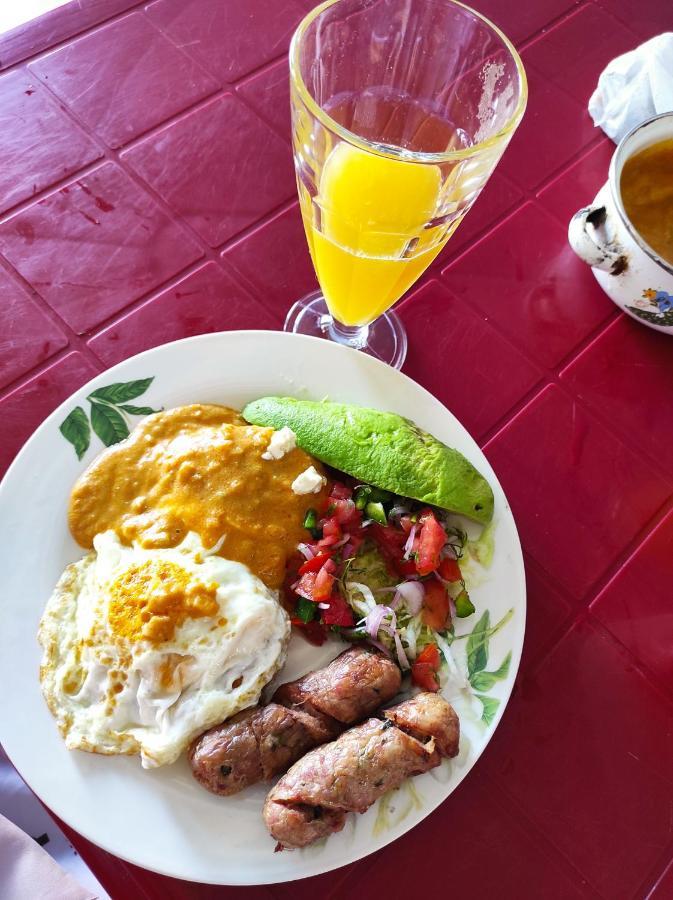 Hostal Las Garzas Del Pelado プラヤス エクステリア 写真
