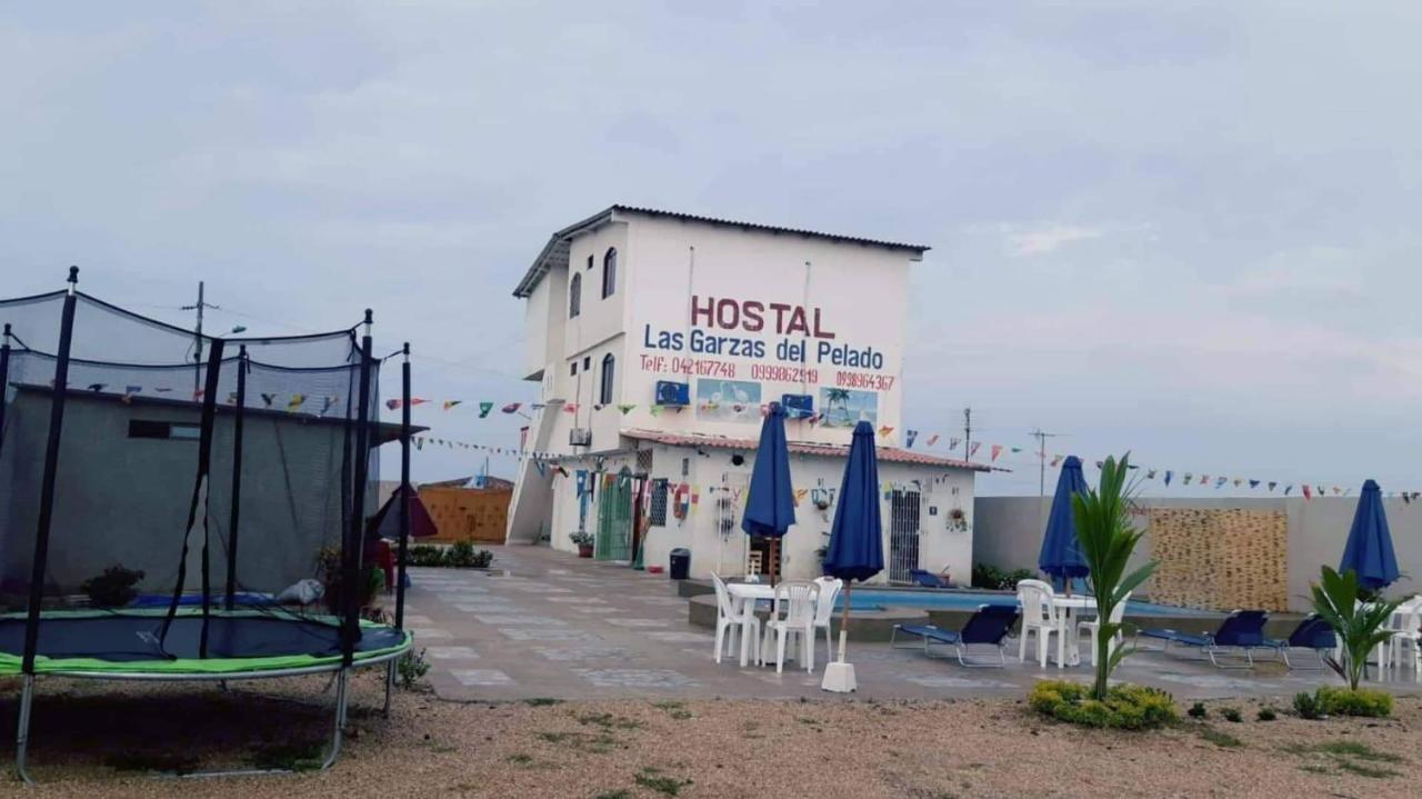 Hostal Las Garzas Del Pelado プラヤス エクステリア 写真