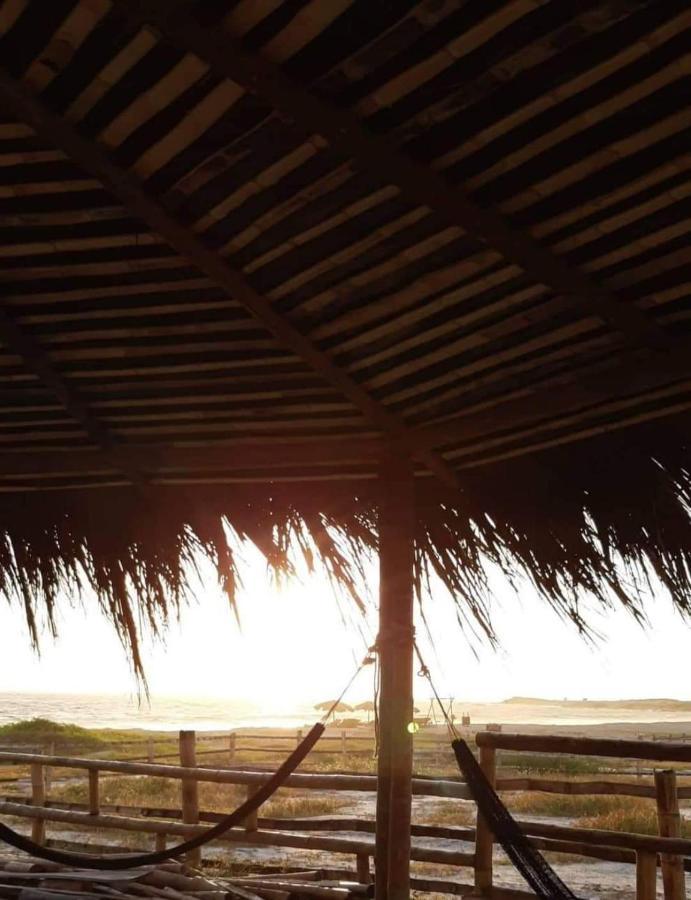 Hostal Las Garzas Del Pelado プラヤス エクステリア 写真