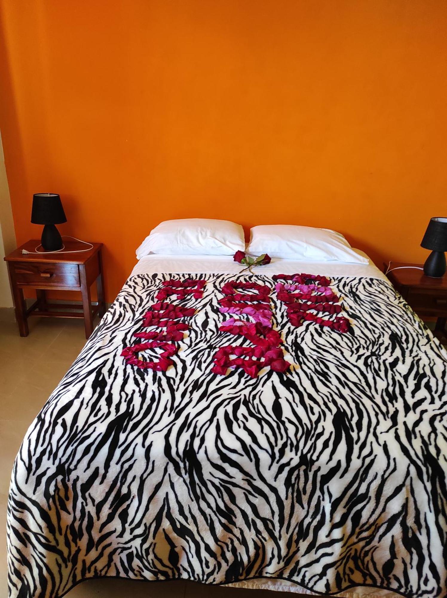 Hostal Las Garzas Del Pelado プラヤス エクステリア 写真