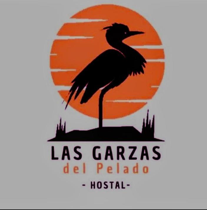 Hostal Las Garzas Del Pelado プラヤス エクステリア 写真